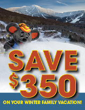 Save up to $350 on your Winter Vacation!